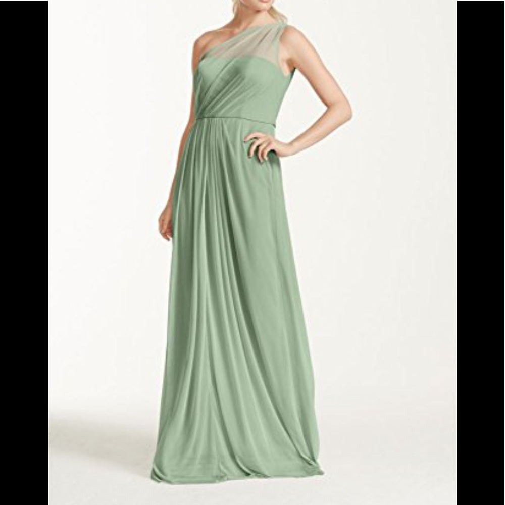 David’s Bridal Long Mesh Dress with One Shoulder